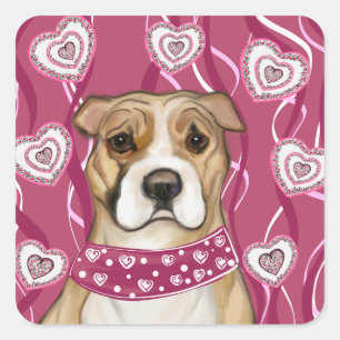 STICKER CARRÉ STAFFORDSHIRE TERRIER AMÉRICAIN