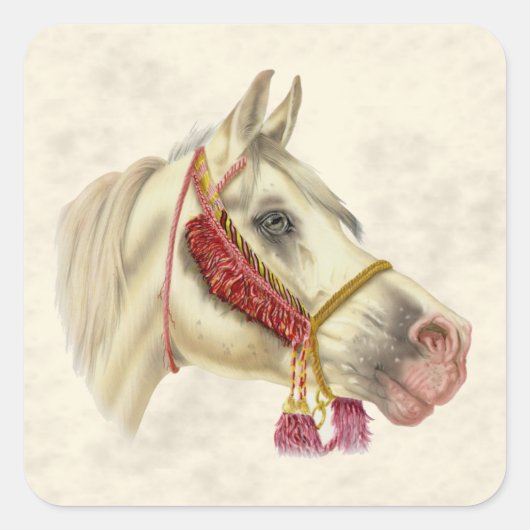 Sticker Carré Stallion arabe (Devant)