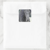 Sticker Carré Stallion friésienne (Sac)