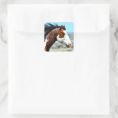 Sticker Carré Stallion Picasso Picasso Junior Button (Sac)
