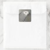 Sticker Carré Stately african Grey Parrot (Sac)