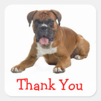 Stick de salutation Merci Boxer Chien Chien Chien