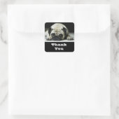 Sticker Carré Stick de salutations de chien chiot Merci Carlin (Sac)