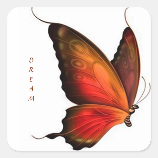 Sticker Carré Sticker/Butterfly Dream (Devant)