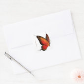 Sticker Carré Sticker/Butterfly Dream (Enveloppe)