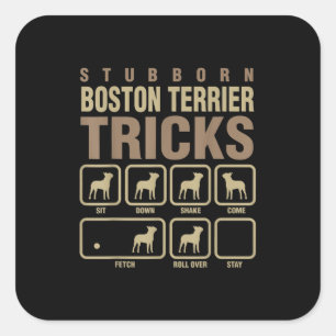 Sticker Carré Stubborn Boston Terrier Tricks Amoureux des chiens