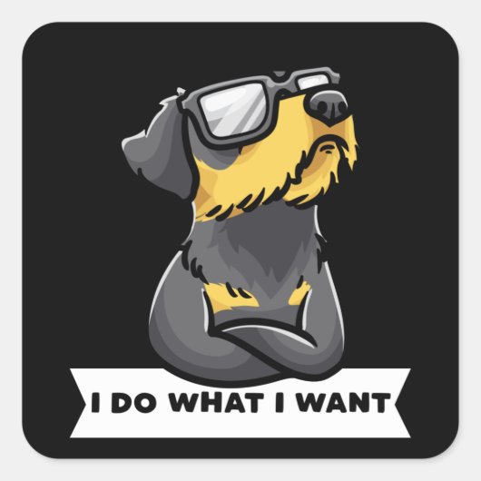 Sticker Carré Stubborn Jagdterrier Chien drôle (Devant)