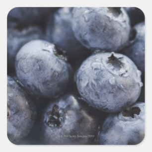 Sticker Carré Studio photo de bleuets 3