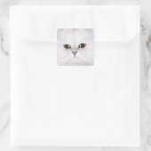 Sticker Carré Studio photo du chat perse blanc (Sac)
