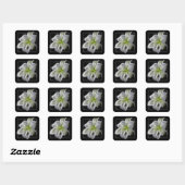 Sticker Carré Stunning White Lily Fractal Art Black (Feuille)