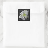 Sticker Carré Stunning White Lily Fractal Art Black (Sac)