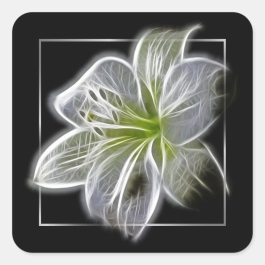 Sticker Carré Stunning White Lily Fractal Art Black (Devant)