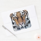Sticker Carré Style de presse graphique Tiger en gras (Enveloppe)