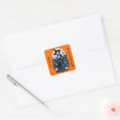 Sticker Carré Style Tatouage Moonlit Sorcière Pumpkin Patch (Enveloppe)