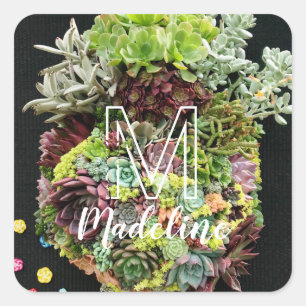 Sticker Carré Succulents décoratifs