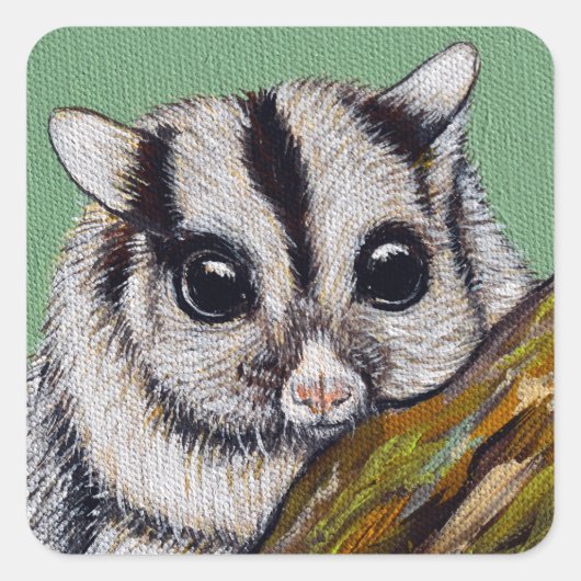 Sticker Carré Sugar Glider Painting (Devant)