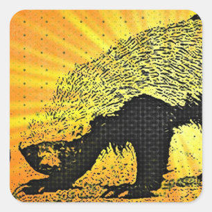 Sticker Carré Sunburst Honey Badger