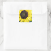 Sticker Carré Sunflower large yellow (Sac)