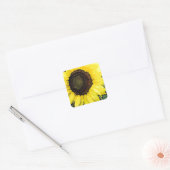 Sticker Carré Sunflower large yellow (Enveloppe)