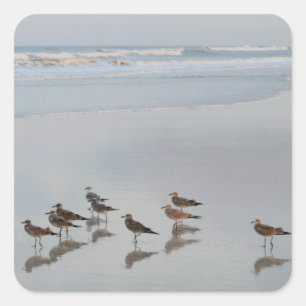 Sticker Carré Sunset Beach Photo Flock of Birds By Ocean