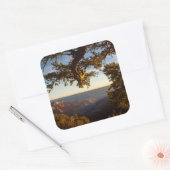 Sticker Carré Sunset over (Enveloppe)