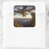 Sticker Carré Sunset over (Sac)