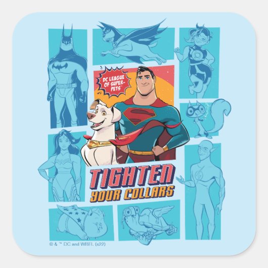 Sticker Carré Super Pets & Justice League - Tighten Your Collars (Devant)