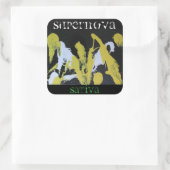 STICKER CARRÉ SUPERNOVA SATIVA (Sac)