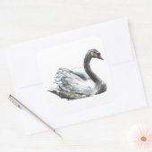 Sticker Carré Swan (Enveloppe)