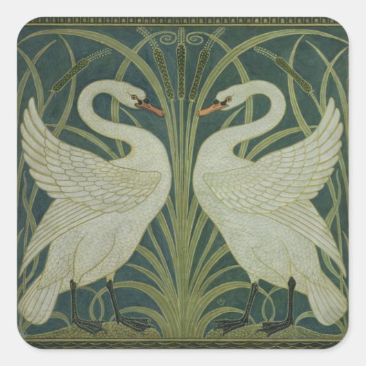 Sticker Carré 'Swan, Rush et Iris' (Devant)