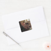 Sticker Carré Sweet Dreams, 1892 (Enveloppe)