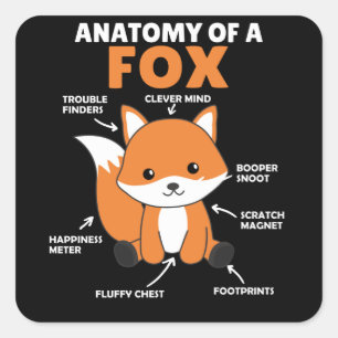 Sticker Carré Sweet Fox Explication Anatomie De Fox