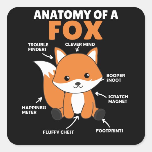 Sticker Carré Sweet Fox Explication Anatomie De Fox (Devant)