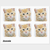 Sticker Carré Sweet Orange Tabby (Feuille)