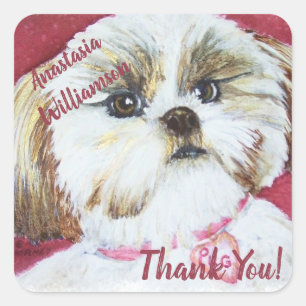 Sticker Carré Sweet Shih Tzu MERCI