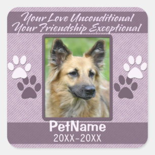 Sticker Carré Sympathie inconditionnelle de l'animal de compagni
