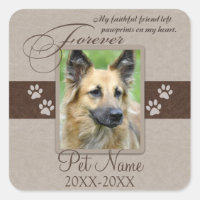 Sympathie pour animal de compagnie