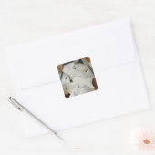 Sticker Carré Symphonie, 1915 (Enveloppe)