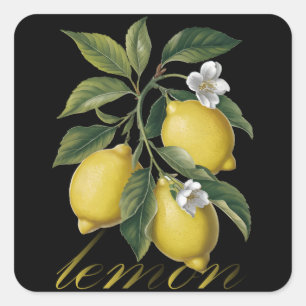 Sticker Carré Symphonie Citron Doré citron vintage