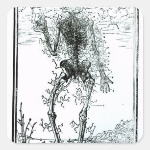 Sticker Carré Système vasculaire du corps