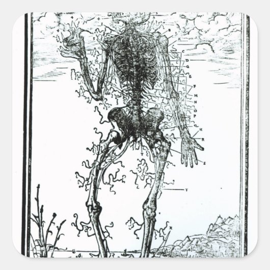 Sticker Carré Système vasculaire du corps (Devant)