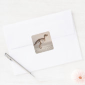 Sticker Carré T. rex Dinosaur Squelette (Enveloppe)