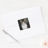 Sticker Carré Tabby cat aux grands yeux verts (Enveloppe)
