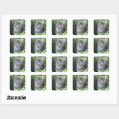 Sticker Carré Tabby Gris (Feuille)