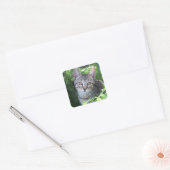 Sticker Carré Tabby Gris (Enveloppe)