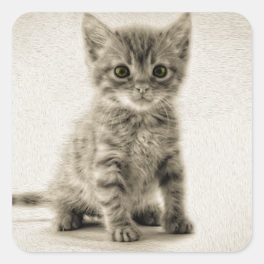 Sticker Carré Tabby Kitty (Devant)