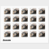 Sticker Carré Tabby Kitty Portrait de chat (Feuille)