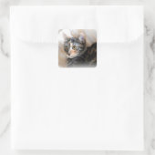 Sticker Carré Tabby Kitty Portrait de chat (Sac)