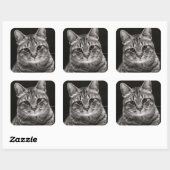 Sticker Carré Tabby noir Kitten (Feuille)