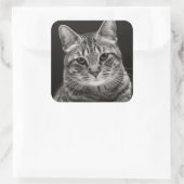 Sticker Carré Tabby noir Kitten (Sac)